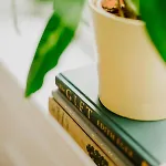 Abbeyview House And Glamping Frühstückspension