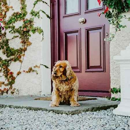 Abbeyview House And Glamping לינה וארוחת בוקר Abbeyshrule